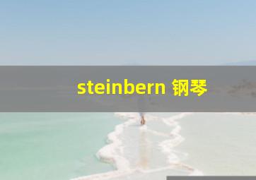 steinbern 钢琴